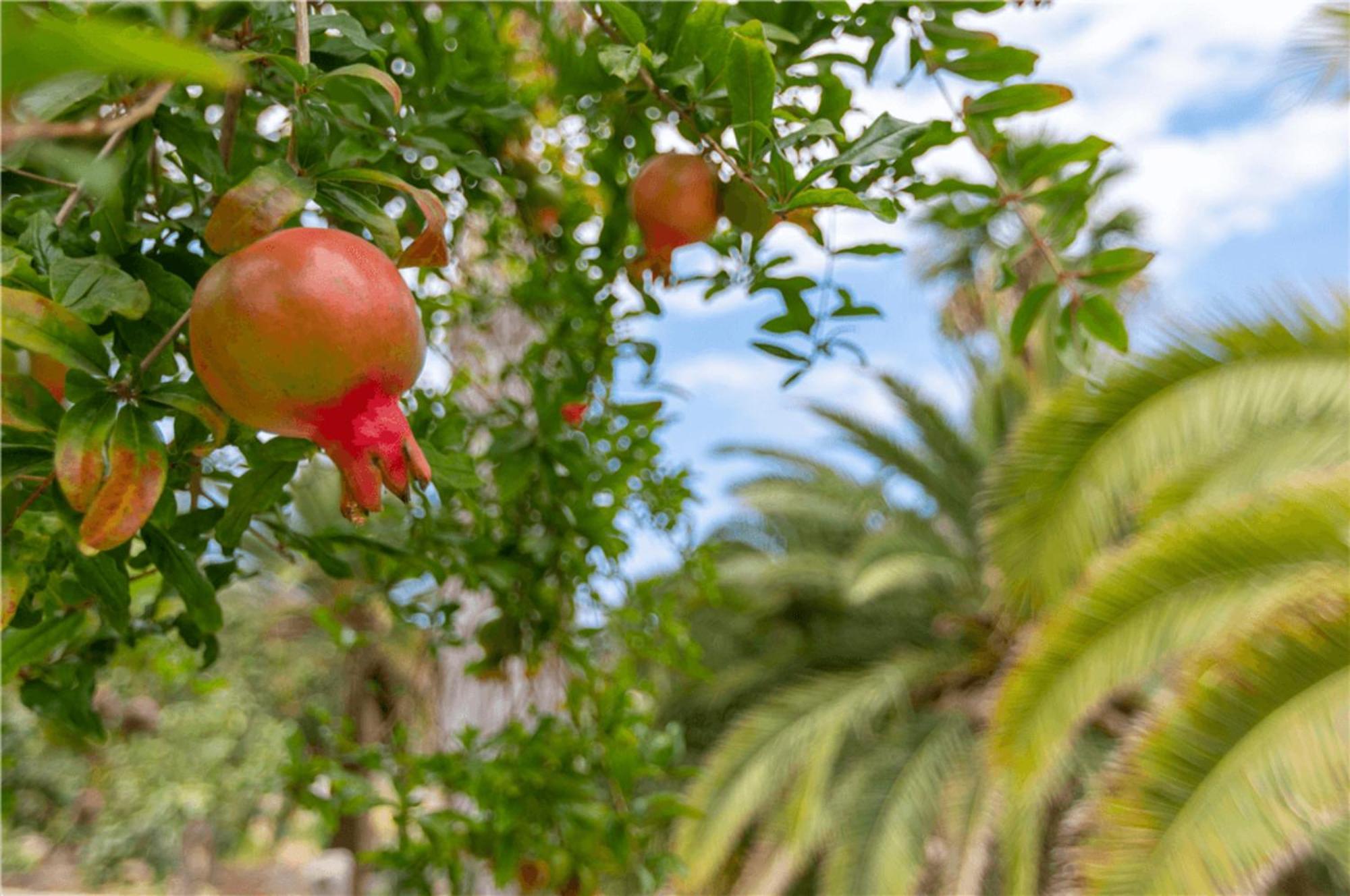 Paraiso Del Molinero Bajo Mogan Ngoại thất bức ảnh